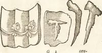 An illustration from De naturae diuinis characterismis, seu, Raris & admirandis spectaculis, causis, indiciis, proprietatibus rerum in partibus singulis vniuersi, libri II (1575)