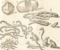 An illustration from De naturae diuinis characterismis, seu, Raris & admirandis spectaculis, causis, indiciis, proprietatibus rerum in partibus singulis vniuersi, libri II (1575)