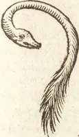 An illustration from De naturae diuinis characterismis, seu, Raris & admirandis spectaculis, causis, indiciis, proprietatibus rerum in partibus singulis vniuersi, libri II (1575)