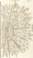 An illustration from De naturae diuinis characterismis, seu, Raris & admirandis spectaculis, causis, indiciis, proprietatibus rerum in partibus singulis vniuersi, libri II (1575)