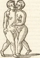 An illustration from De naturae diuinis characterismis, seu, Raris & admirandis spectaculis, causis, indiciis, proprietatibus rerum in partibus singulis vniuersi, libri II (1575)
