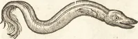 An illustration from De naturae diuinis characterismis, seu, Raris & admirandis spectaculis, causis, indiciis, proprietatibus rerum in partibus singulis vniuersi, libri II (1575)