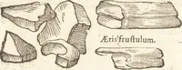 An illustration from De naturae diuinis characterismis, seu, Raris & admirandis spectaculis, causis, indiciis, proprietatibus rerum in partibus singulis vniuersi, libri II (1575)