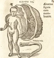 An illustration from De naturae diuinis characterismis, seu, Raris & admirandis spectaculis, causis, indiciis, proprietatibus rerum in partibus singulis vniuersi, libri II (1575)