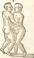 An illustration from De naturae diuinis characterismis, seu, Raris & admirandis spectaculis, causis, indiciis, proprietatibus rerum in partibus singulis vniuersi, libri II (1575)