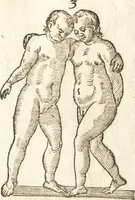 An illustration from De naturae diuinis characterismis, seu, Raris & admirandis spectaculis, causis, indiciis, proprietatibus rerum in partibus singulis vniuersi, libri II (1575)