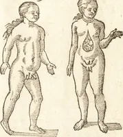 An illustration from De naturae diuinis characterismis, seu, Raris & admirandis spectaculis, causis, indiciis, proprietatibus rerum in partibus singulis vniuersi, libri II (1575)