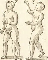 An illustration from De naturae diuinis characterismis, seu, Raris & admirandis spectaculis, causis, indiciis, proprietatibus rerum in partibus singulis vniuersi, libri II (1575)