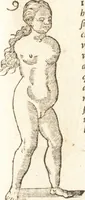 An illustration from De naturae diuinis characterismis, seu, Raris & admirandis spectaculis, causis, indiciis, proprietatibus rerum in partibus singulis vniuersi, libri II (1575)