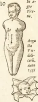 An illustration from De naturae diuinis characterismis, seu, Raris & admirandis spectaculis, causis, indiciis, proprietatibus rerum in partibus singulis vniuersi, libri II (1575)