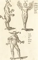 An illustration from De naturae diuinis characterismis, seu, Raris & admirandis spectaculis, causis, indiciis, proprietatibus rerum in partibus singulis vniuersi, libri II (1575)