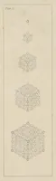 An illustration from Principles of the science of colour : concisely stated to aid and promote their useful application in the decorative arts (1876)