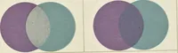 An illustration from The science of colour mixing : a manual intended for the use of dyers, calico printers and colour chemists (1900)