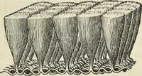 An illustration from The theory of color in its relation to art and art-industry (1876)