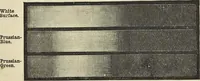 An illustration from The theory of color in its relation to art and art-industry (1876)