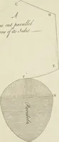 An illustration from An appendix to the Elements of Euclid, in seven books : containing forty-two moveable schemes for forming the various kinds of solids, and their sections, by which the doctrine of solids in the eleventh, twelfth, and fifteenth books of Euclid is illustrated, and rendered more easy to learners than heretofore ... (1765)