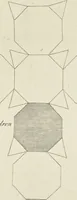 An illustration from An appendix to the Elements of Euclid, in seven books : containing forty-two moveable schemes for forming the various kinds of solids, and their sections, by which the doctrine of solids in the eleventh, twelfth, and fifteenth books of Euclid is illustrated, and rendered more easy to learners than heretofore ... (1765)