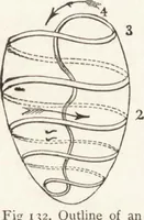 Picture 69 of 119 from The principles of light and color: including among other things the harmonic laws of the universe, the etherio-atomic philosophy of force, chromo chemistry, chromo therapeutics, and the general philosophy of the fine forces, together with numerous discoveries and practical applications .. (1878), leaf 116