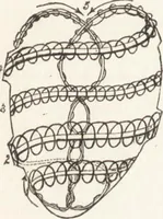 An illustration from The principles of light and color: including among other things the harmonic laws of the universe, the etherio-atomic philosophy of force, chromo chemistry, chromo therapeutics, and the general philosophy of the fine forces, together with numerous discoveries and practical applications .. (1878)