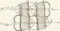 An illustration from The principles of light and color: including among other things the harmonic laws of the universe, the etherio-atomic philosophy of force, chromo chemistry, chromo therapeutics, and the general philosophy of the fine forces, together with numerous discoveries and practical applications .. (1878)