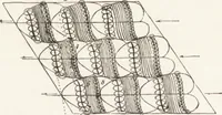 An illustration from The principles of light and color: including among other things the harmonic laws of the universe, the etherio-atomic philosophy of force, chromo chemistry, chromo therapeutics, and the general philosophy of the fine forces, together with numerous discoveries and practical applications .. (1878)