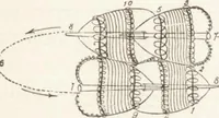 An illustration from The principles of light and color: including among other things the harmonic laws of the universe, the etherio-atomic philosophy of force, chromo chemistry, chromo therapeutics, and the general philosophy of the fine forces, together with numerous discoveries and practical applications .. (1878)