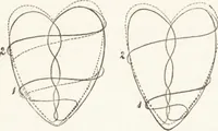 An illustration from The principles of light and color: including among other things the harmonic laws of the universe, the etherio-atomic philosophy of force, chromo chemistry, chromo therapeutics, and the general philosophy of the fine forces, together with numerous discoveries and practical applications .. (1878)
