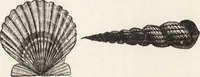 An illustration from The principles of light and color: including among other things the harmonic laws of the universe, the etherio-atomic philosophy of force, chromo chemistry, chromo therapeutics, and the general philosophy of the fine forces, together with numerous discoveries and practical applications .. (1878)