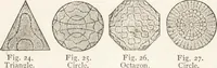 An illustration from The principles of light and color: including among other things the harmonic laws of the universe, the etherio-atomic philosophy of force, chromo chemistry, chromo therapeutics, and the general philosophy of the fine forces, together with numerous discoveries and practical applications .. (1878)