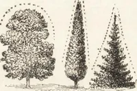 An illustration from The principles of light and color: including among other things the harmonic laws of the universe, the etherio-atomic philosophy of force, chromo chemistry, chromo therapeutics, and the general philosophy of the fine forces, together with numerous discoveries and practical applications .. (1878)