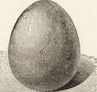 An illustration from The principles of light and color: including among other things the harmonic laws of the universe, the etherio-atomic philosophy of force, chromo chemistry, chromo therapeutics, and the general philosophy of the fine forces, together with numerous discoveries and practical applications .. (1878)