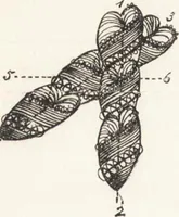 An illustration from The principles of light and color: including among other things the harmonic laws of the universe, the etherio-atomic philosophy of force, chromo chemistry, chromo therapeutics, and the general philosophy of the fine forces, together with numerous discoveries and practical applications .. (1878)
