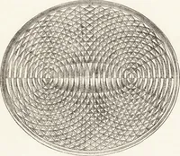 An illustration from The principles of light and color: including among other things the harmonic laws of the universe, the etherio-atomic philosophy of force, chromo chemistry, chromo therapeutics, and the general philosophy of the fine forces, together with numerous discoveries and practical applications .. (1878)