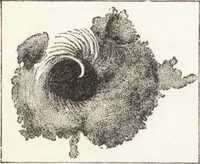 An illustration from The principles of light and color: including among other things the harmonic laws of the universe, the etherio-atomic philosophy of force, chromo chemistry, chromo therapeutics, and the general philosophy of the fine forces, together with numerous discoveries and practical applications .. (1878)