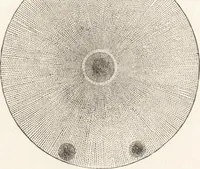 An illustration from The principles of light and color: including among other things the harmonic laws of the universe, the etherio-atomic philosophy of force, chromo chemistry, chromo therapeutics, and the general philosophy of the fine forces, together with numerous discoveries and practical applications .. (1878)