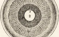 An illustration from The principles of light and color: including among other things the harmonic laws of the universe, the etherio-atomic philosophy of force, chromo chemistry, chromo therapeutics, and the general philosophy of the fine forces, together with numerous discoveries and practical applications .. (1878)