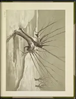 An illustration from A note on color for teachers of elementary schools (1912)