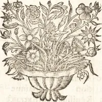 An illustration from Le vray et methodique cours de la physique resolutiue, vulgairement dite chymie : representé par figures generales & particulieres : pour connoistre la theotechnie ergocosmique, c'est à dire, l'art de Dieu, en l'ouurage de l'vniuers (1653)