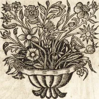 Picture 68 of 128 from Le vray et methodique cours de la physique resolutiue, vulgairement dite chymie : representé par figures generales & particulieres : pour connoistre la theotechnie ergocosmique, c'est à dire, l'art de Dieu, en l'ouurage de l'vniuers (1653), leaf 290