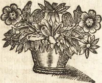 An illustration from Le vray et methodique cours de la physique resolutiue, vulgairement dite chymie : representé par figures generales & particulieres : pour connoistre la theotechnie ergocosmique, c'est à dire, l'art de Dieu, en l'ouurage de l'vniuers (1653)