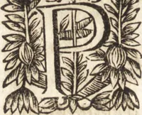 Picture 116 of 128 from Le vray et methodique cours de la physique resolutiue, vulgairement dite chymie : representé par figures generales & particulieres : pour connoistre la theotechnie ergocosmique, c'est à dire, l'art de Dieu, en l'ouurage de l'vniuers (1653), leaf 545