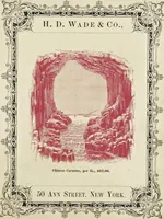 Picture 67 of 71 from Specimens of black and colored printing inks manufactured by H.D. Wade & Co., no. 50 Ann Street, New York (1870), leaf 132