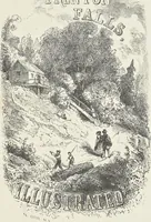 An illustration from Specimens of black and colored printing inks manufactured by H.D. Wade & Co., no. 50 Ann Street, New York (1870)