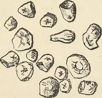 An illustration from Bleaching and calico-printing : a practical manual. (1896)