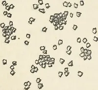 An illustration from Bleaching and calico-printing : a practical manual. (1896)