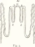 An illustration from Silk dyeing, printing, and finishing (1892)