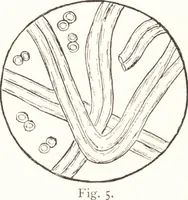 An illustration from Silk dyeing, printing, and finishing (1892)