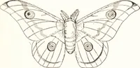 An illustration from Silk dyeing, printing, and finishing (1892)