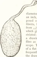 An illustration from Silk dyeing, printing, and finishing (1892)