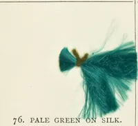 Picture 23 of 24 from Silk dyeing, printing, and finishing (1892), leaf 250